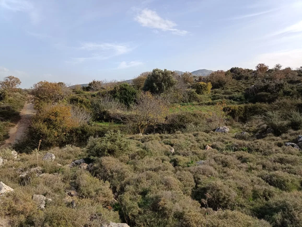 Plot of 28.000 square meters outside the settlement of Somatas, in Rethymno.