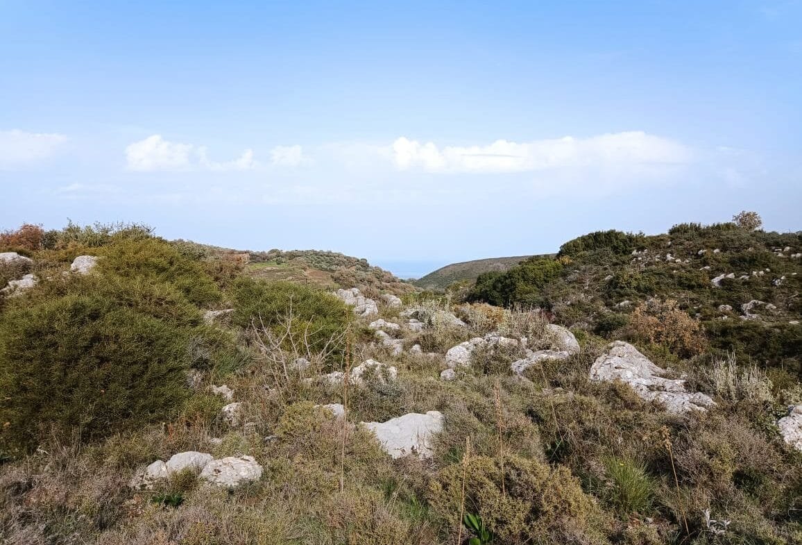 Plot of 28.000 square meters outside the settlement of Somatas, in Rethymno.