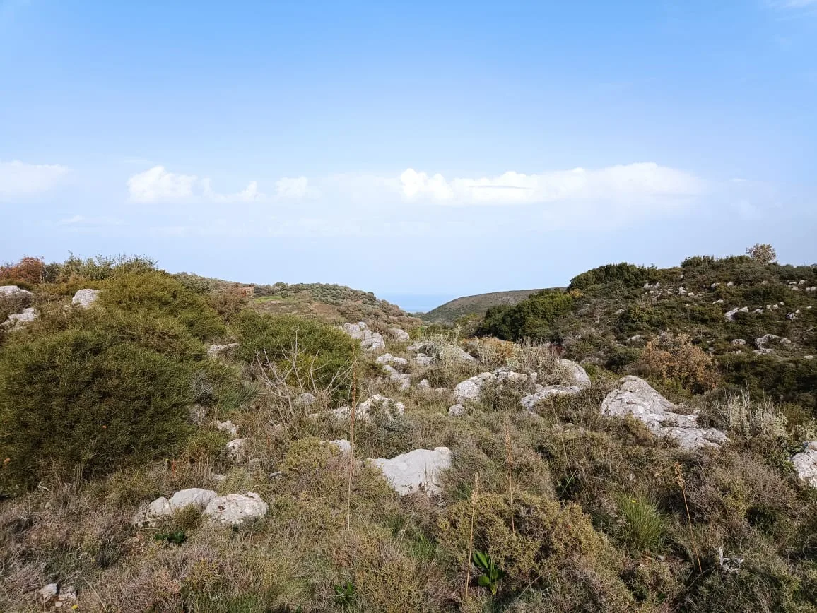 Plot of 28.000 square meters outside the settlement of Somatas, in Rethymno.