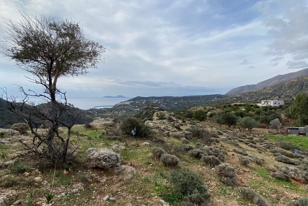 Large plot of land outside the settlement of Agia Galini.
