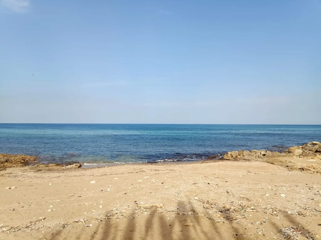 Plot of 5.000 sqm on the sea.