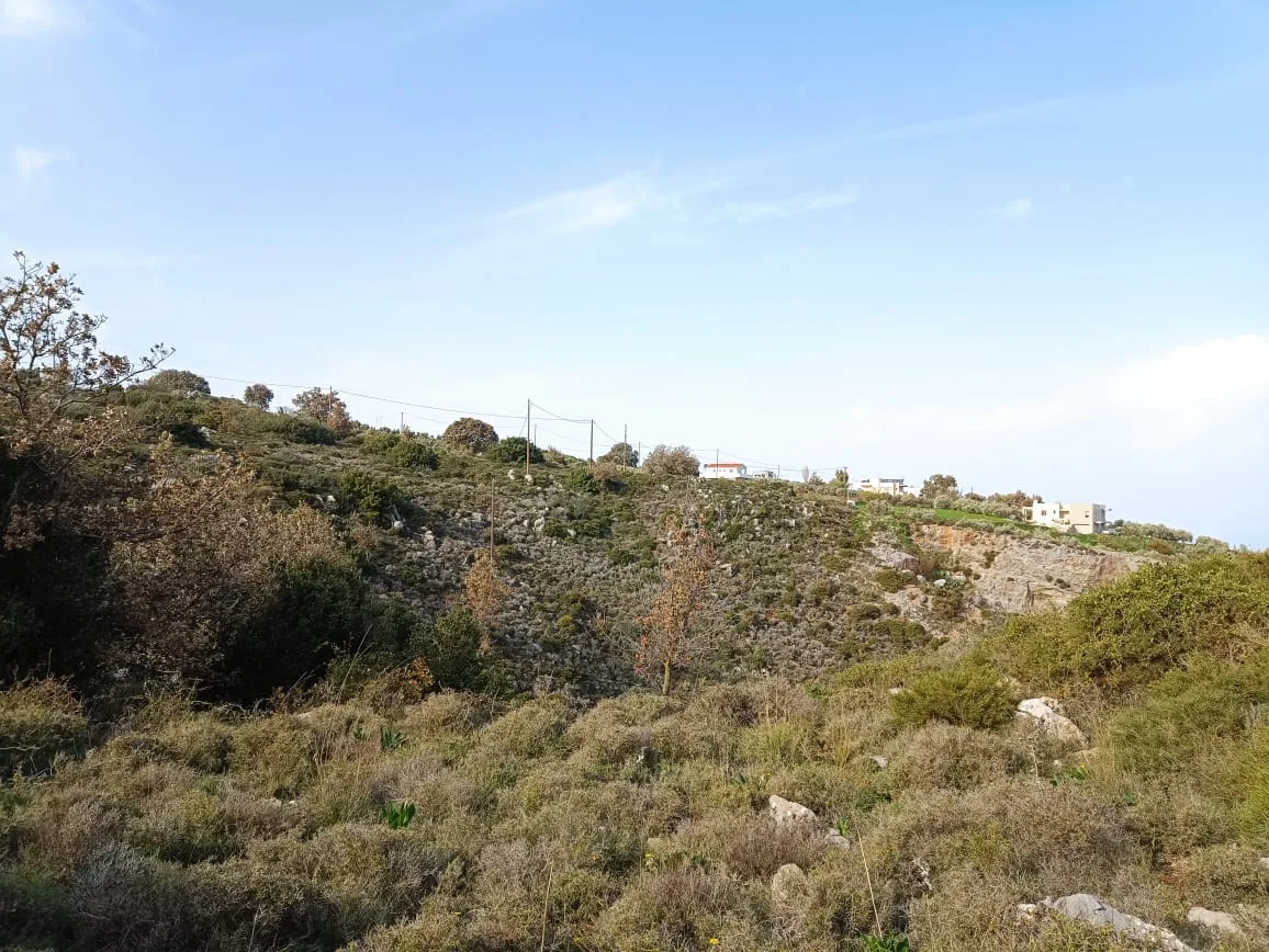 Plot of 28.000 square meters outside the settlement of Somatas, in Rethymno.