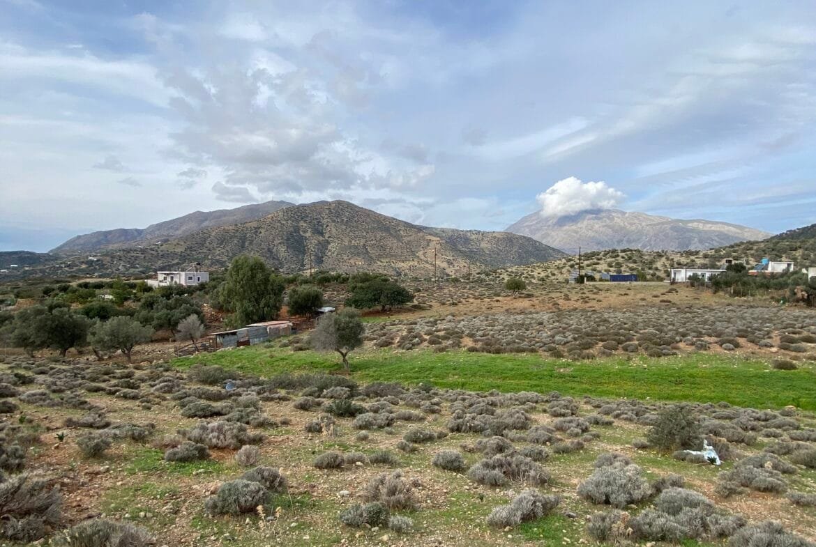 Large plot of land outside the settlement of Agia Galini.