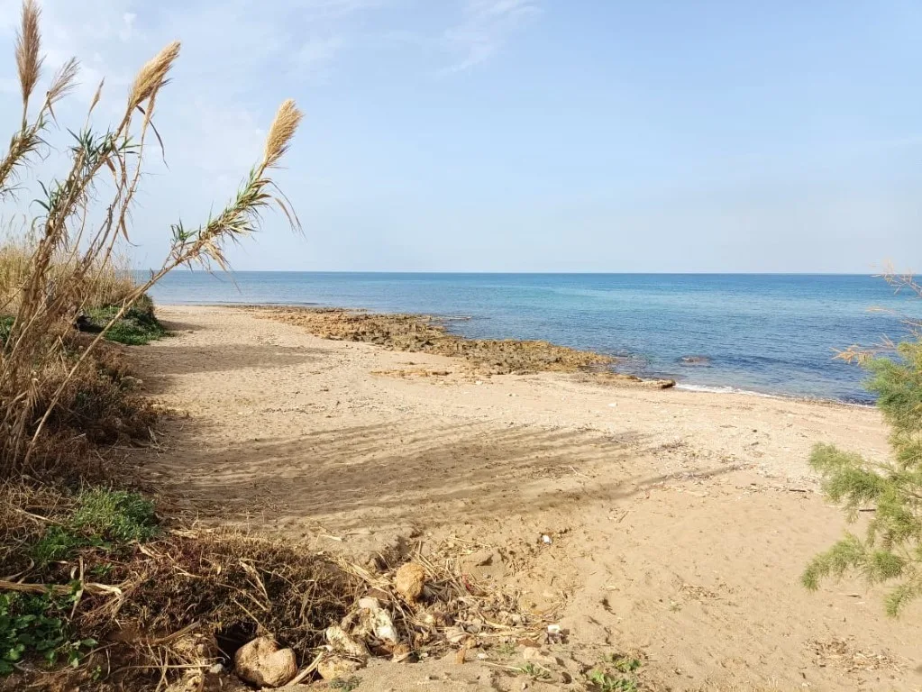 Plot of 5.000 sqm on the sea.