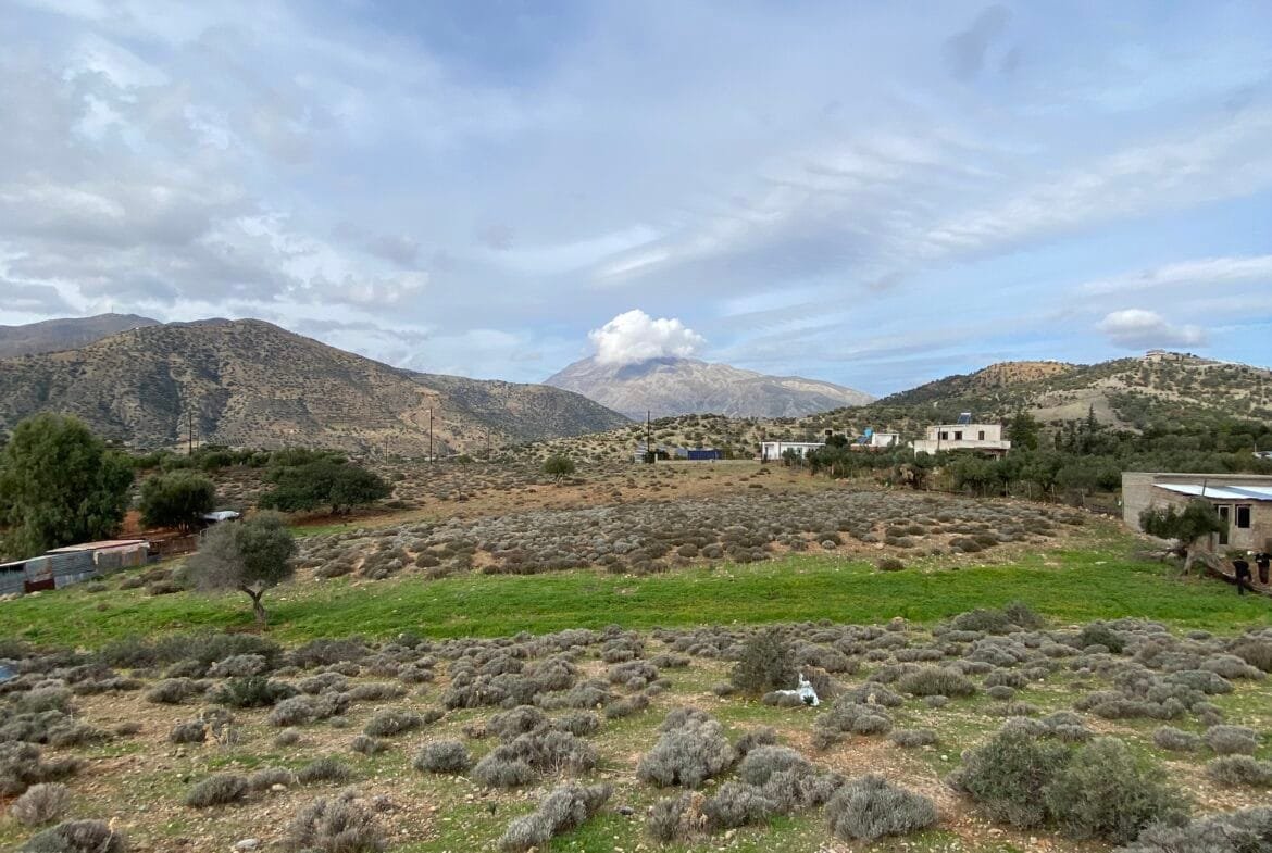 Large plot of land outside the settlement of Agia Galini.