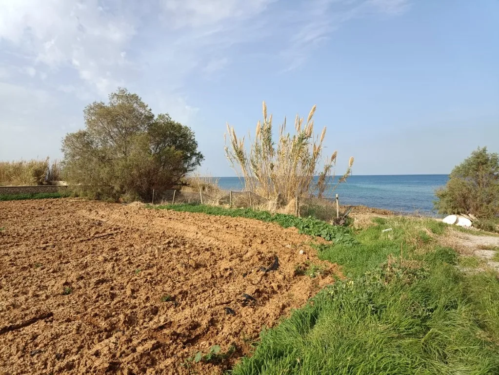 Plot of 5.000 sqm on the sea.