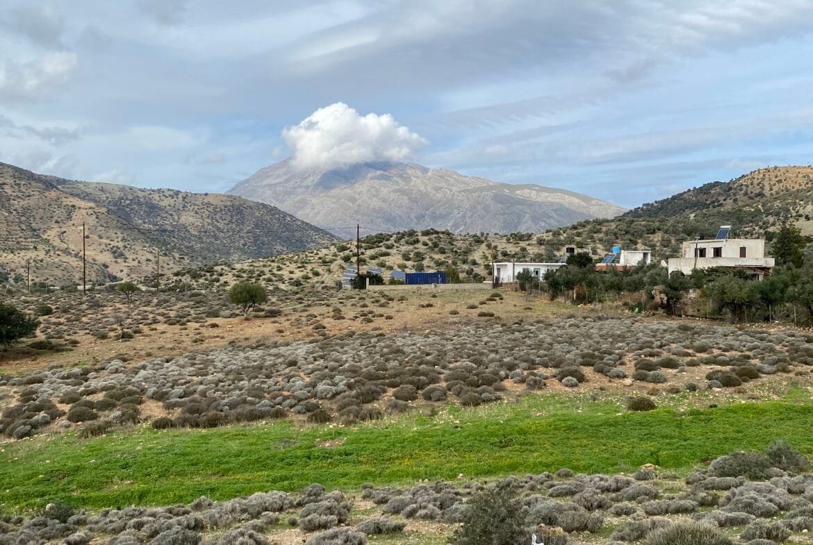 Large plot of land outside the settlement of Agia Galini.