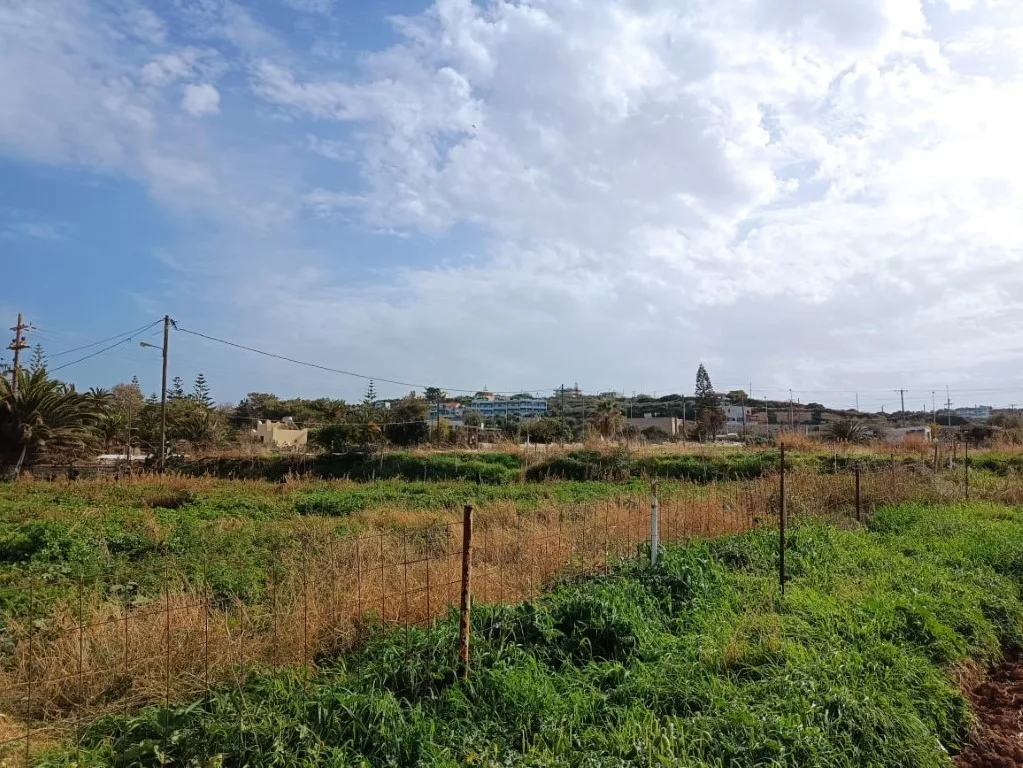 Plot of 5.000 sqm on the sea.