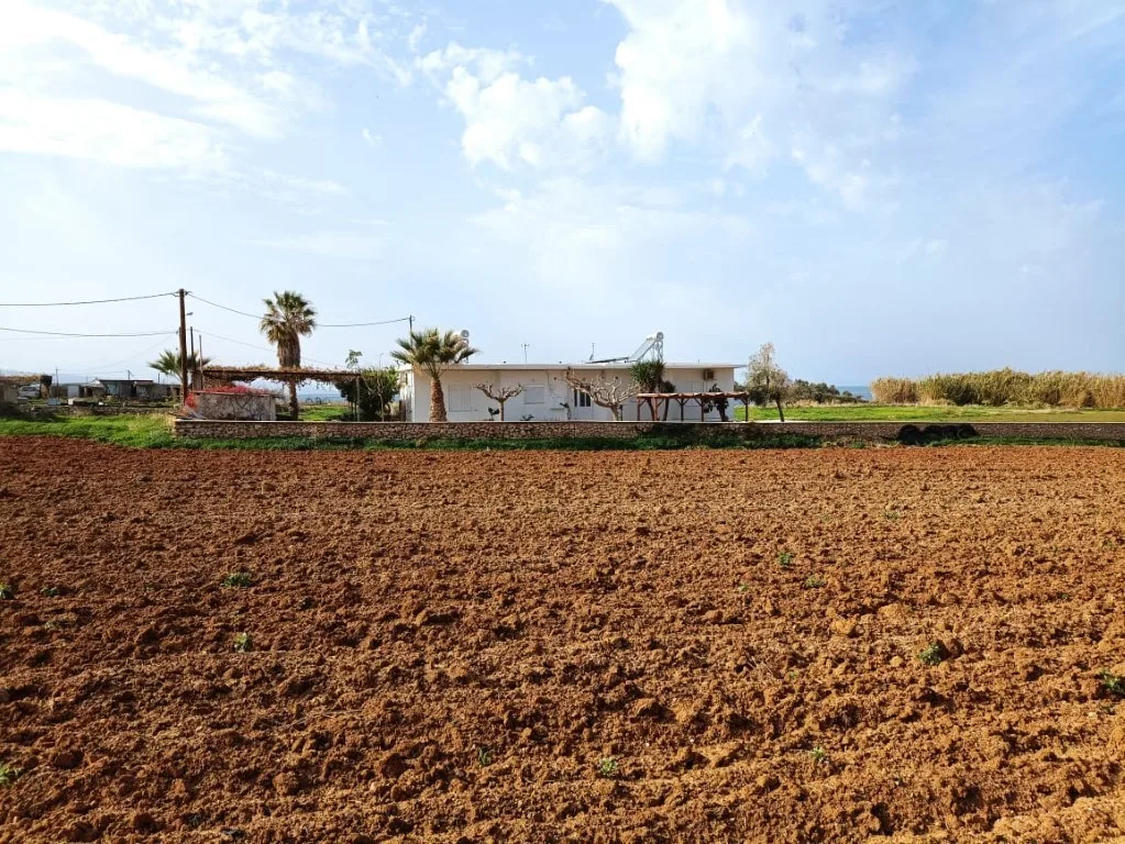 Plot of 5.000 sqm on the sea.