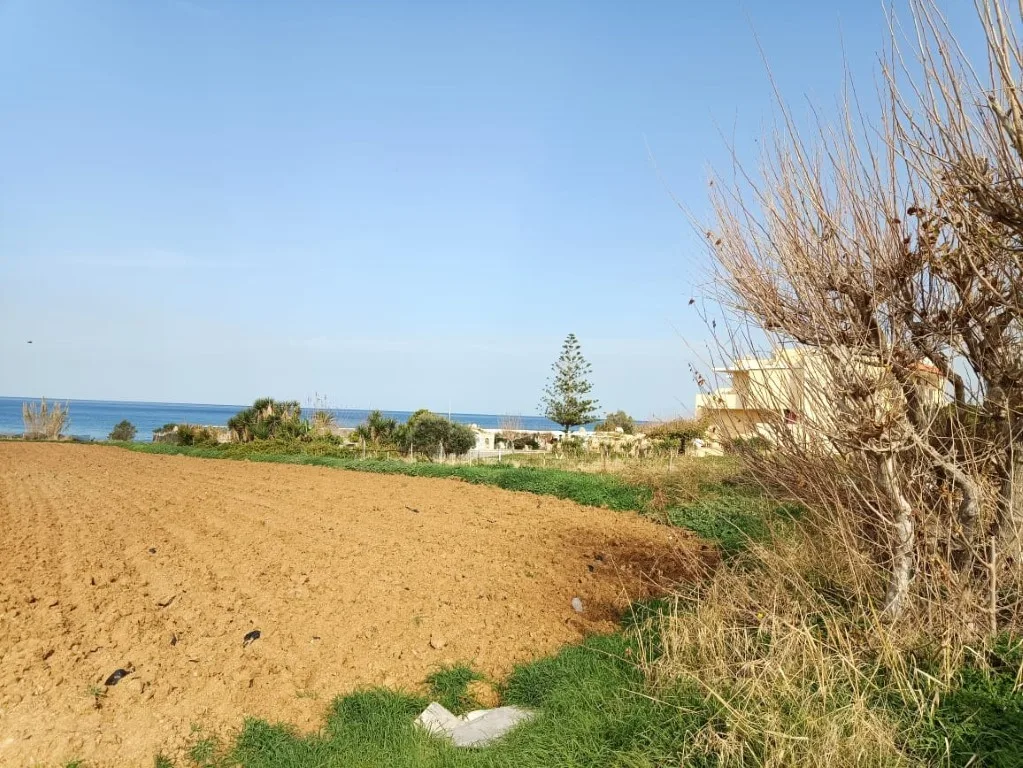Plot of 5.000 sqm on the sea.