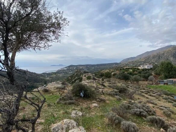 Large plot of land outside the settlement of Agia Galini.
