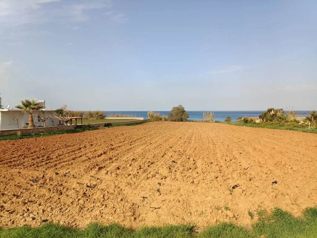 Plot of 5.000 sqm on the sea.
