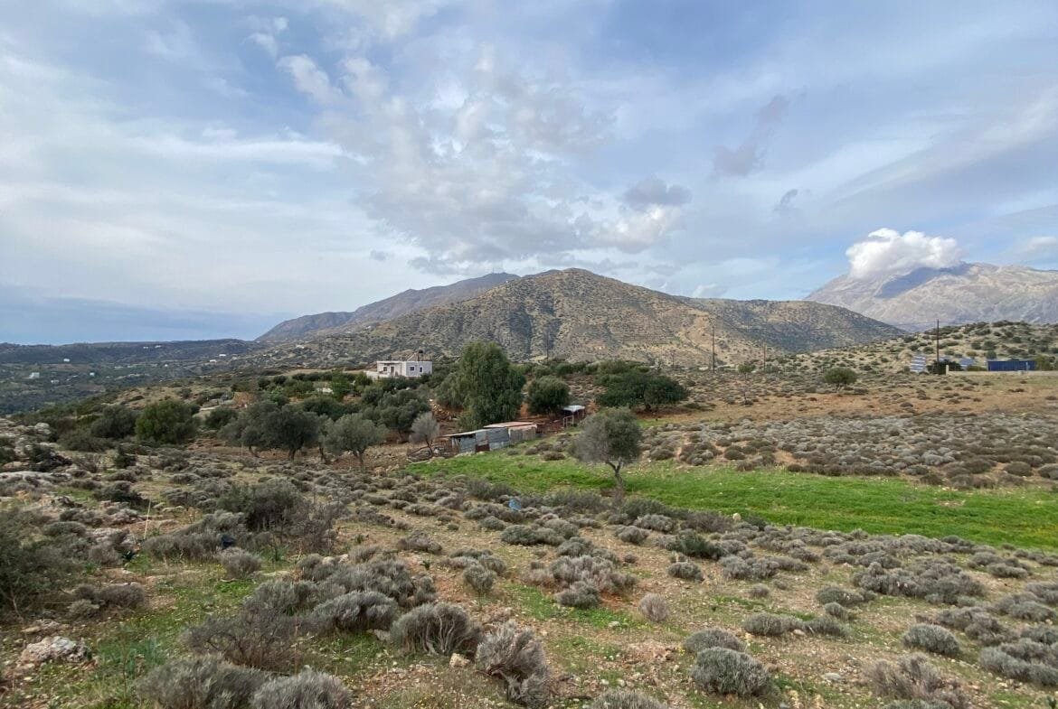 Large plot of land outside the settlement of Agia Galini.