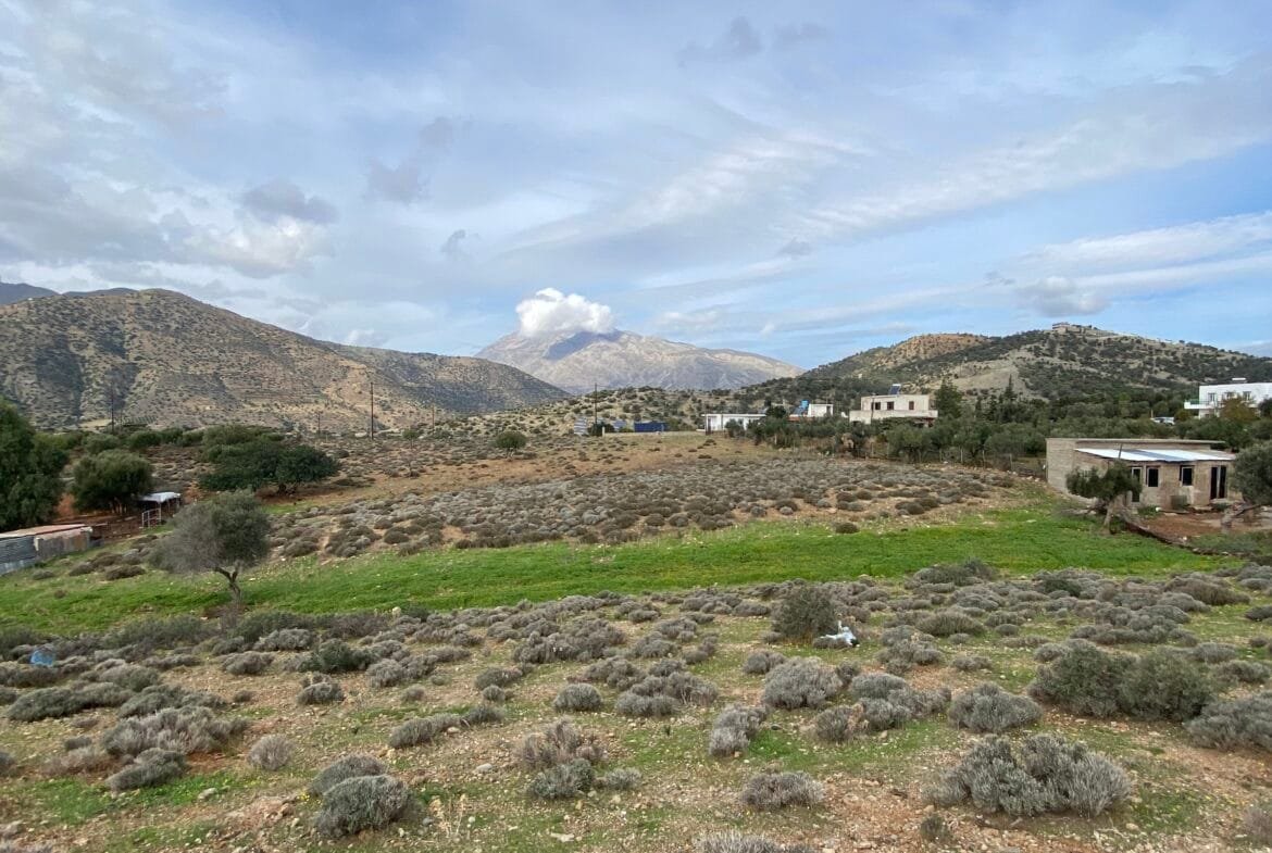 Large plot of land outside the settlement of Agia Galini.