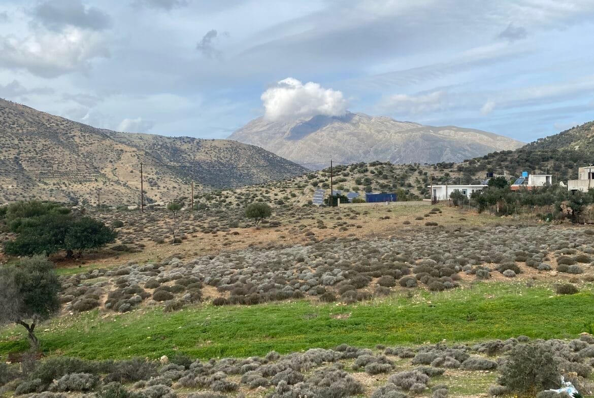 Large plot of land outside the settlement of Agia Galini.