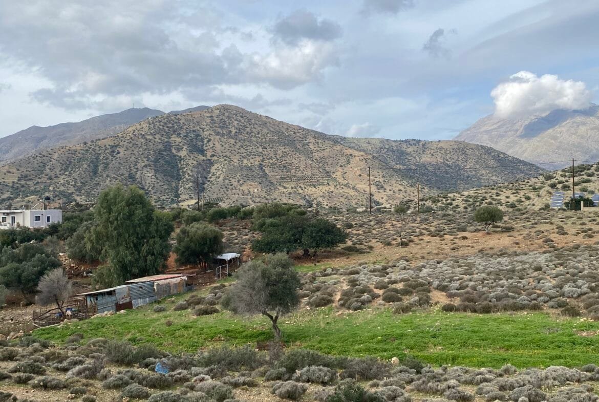 Large plot of land outside the settlement of Agia Galini.