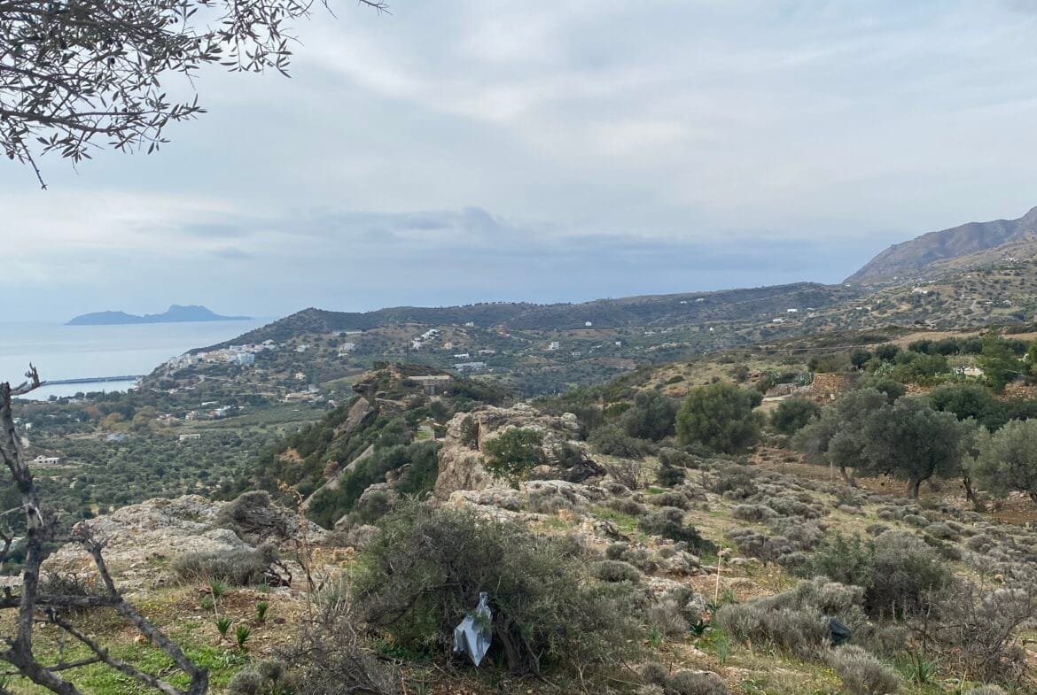 Large plot of land outside the settlement of Agia Galini.