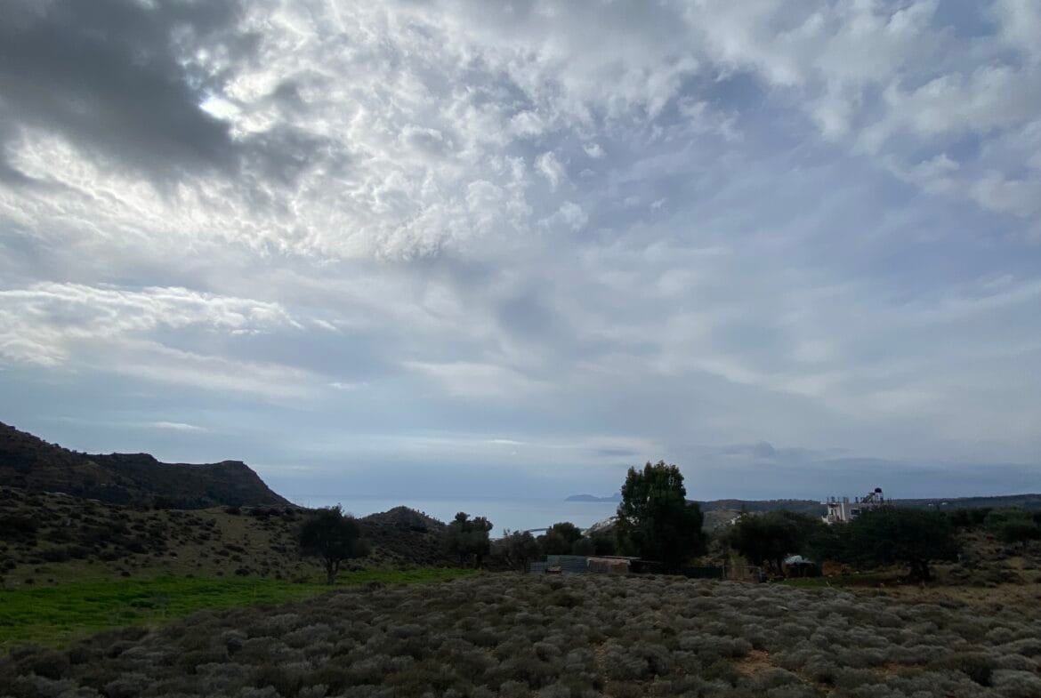 Large plot of land outside the settlement of Agia Galini.