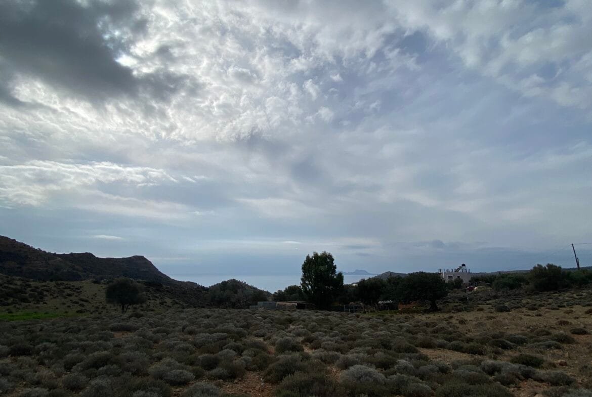 Large plot of land outside the settlement of Agia Galini.