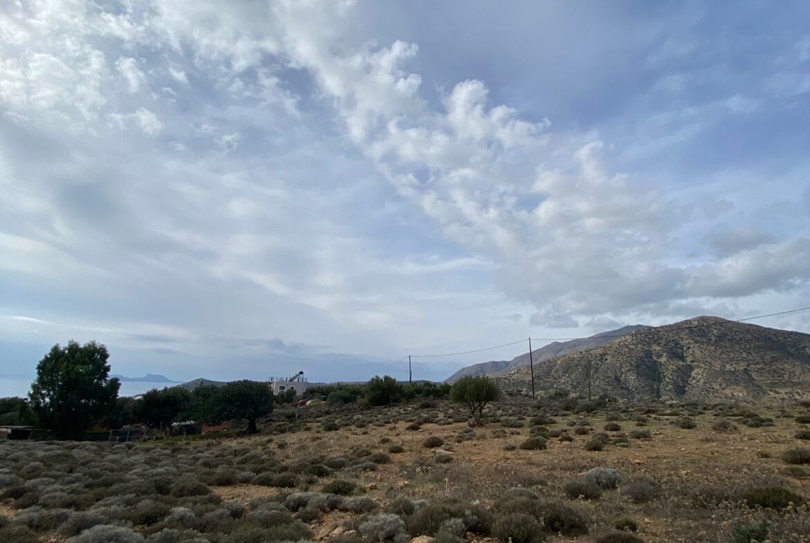 Large plot of land outside the settlement of Agia Galini.