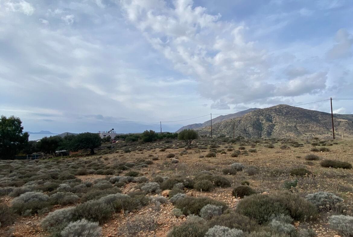 Large plot of land outside the settlement of Agia Galini.
