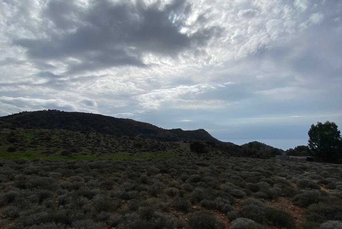 Large plot of land outside the settlement of Agia Galini.