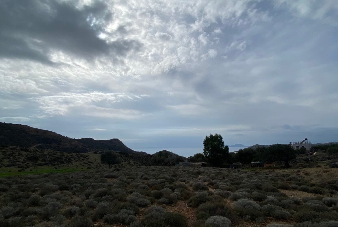 Large plot of land outside the settlement of Agia Galini.