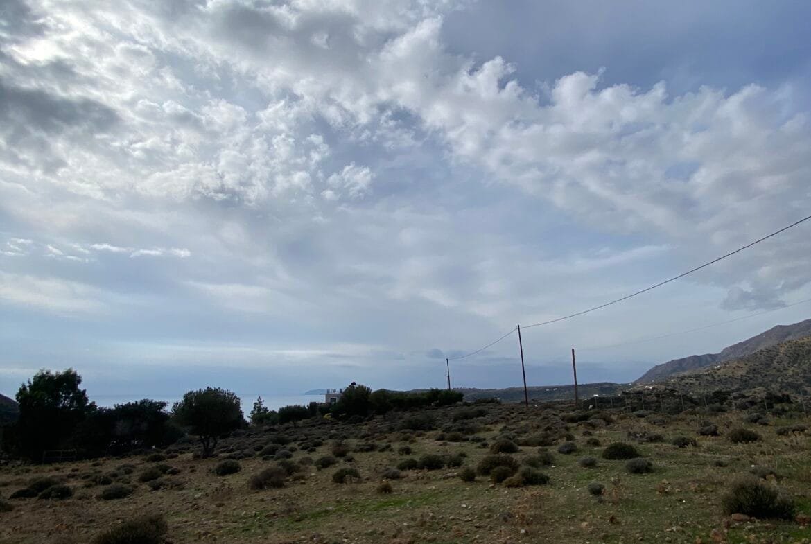 Large plot of land outside the settlement of Agia Galini.