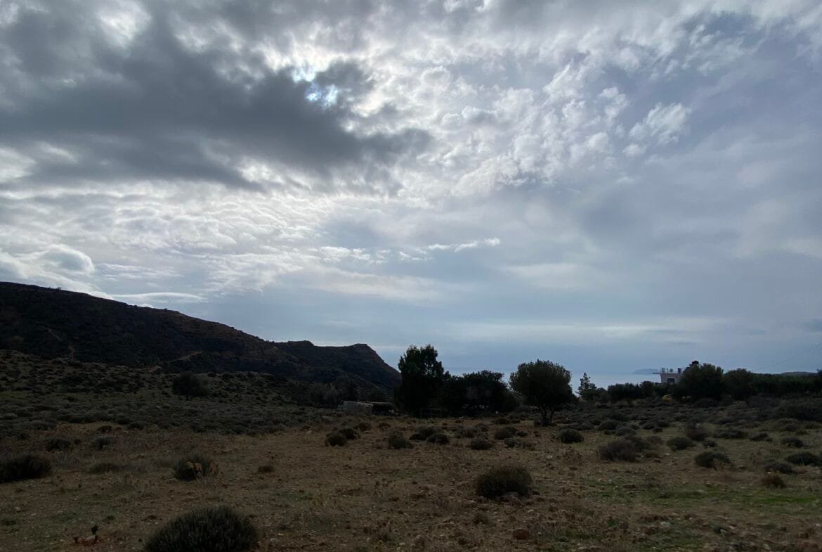 Large plot of land outside the settlement of Agia Galini.