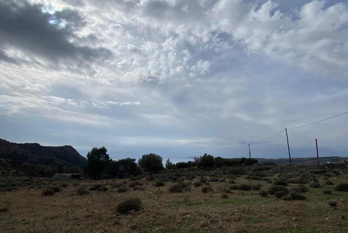 Large plot of land outside the settlement of Agia Galini.