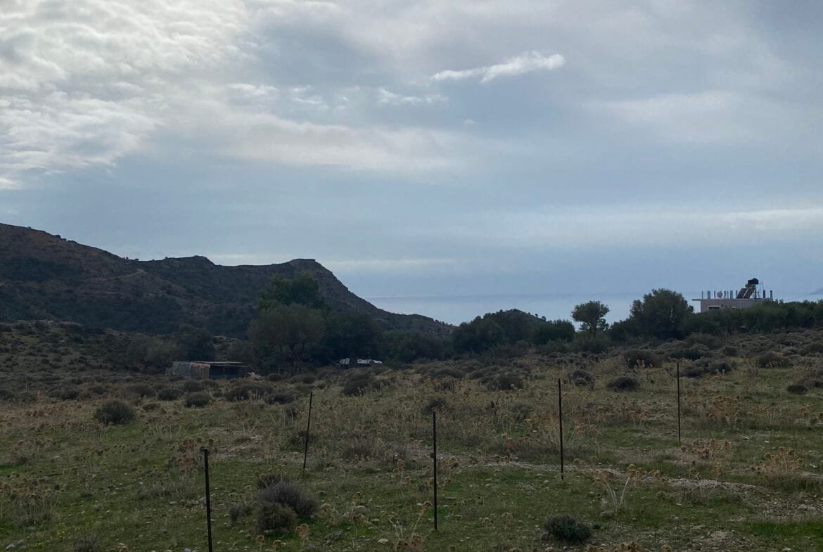 Large plot of land outside the settlement of Agia Galini.