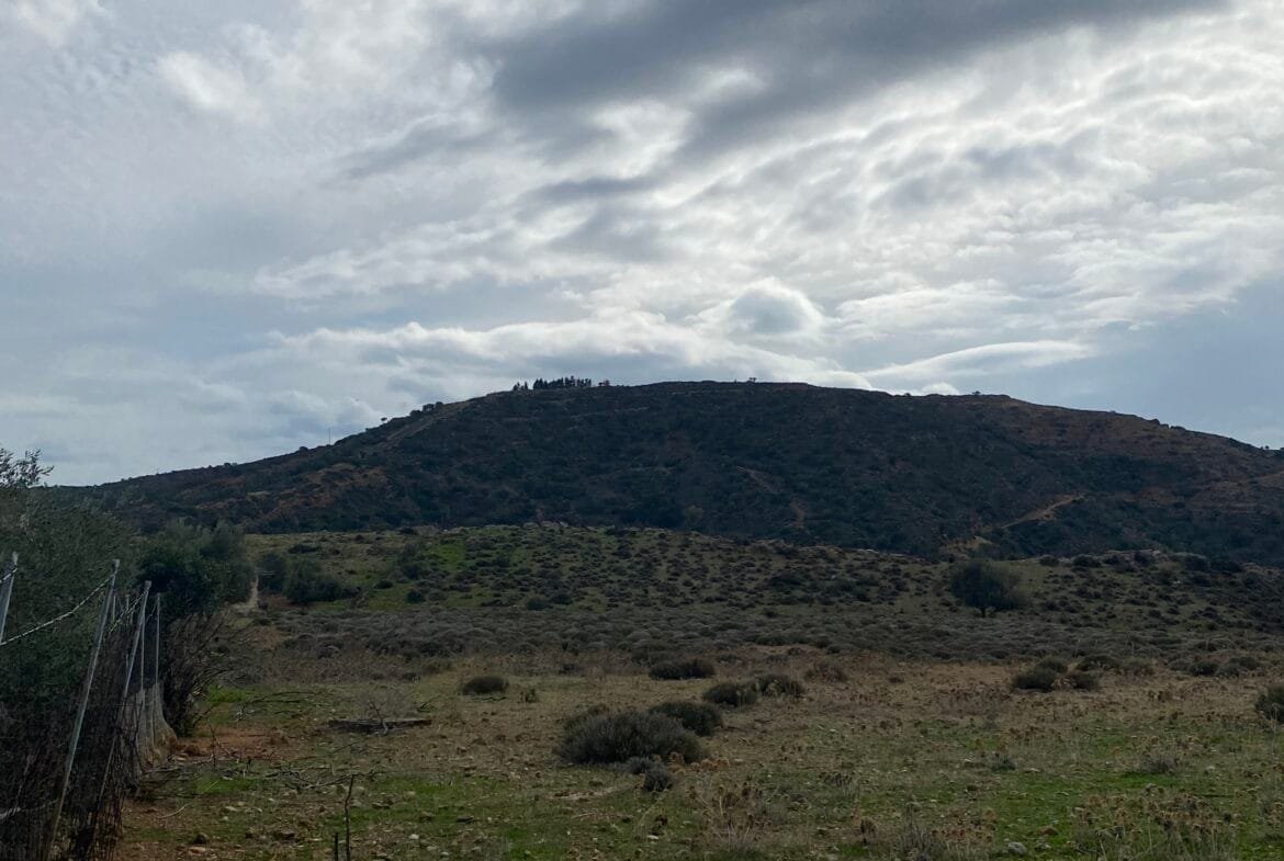 Large plot of land outside the settlement of Agia Galini.