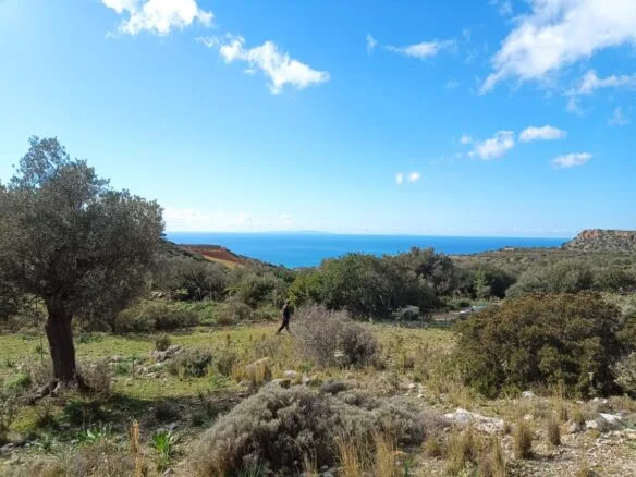 Land plot of 4.050 square meters in Akoumia.