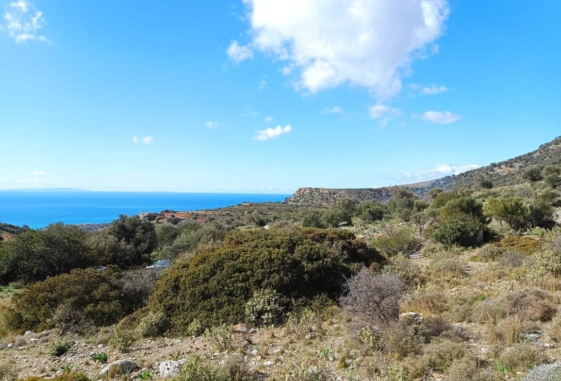 Land plot of 4.050 square meters in Akoumia.