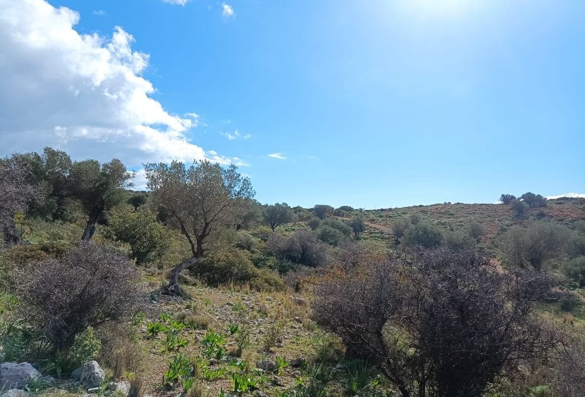 Land plot of 4.050 square meters in Akoumia.