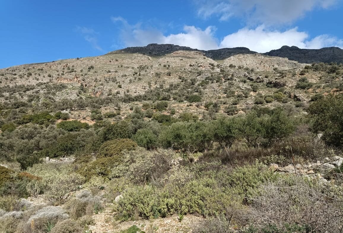 Land plot of 4.050 square meters in Akoumia.