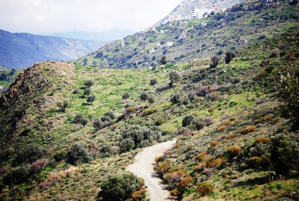 Land plot of 20.100 square meters in Agios Pavlos.