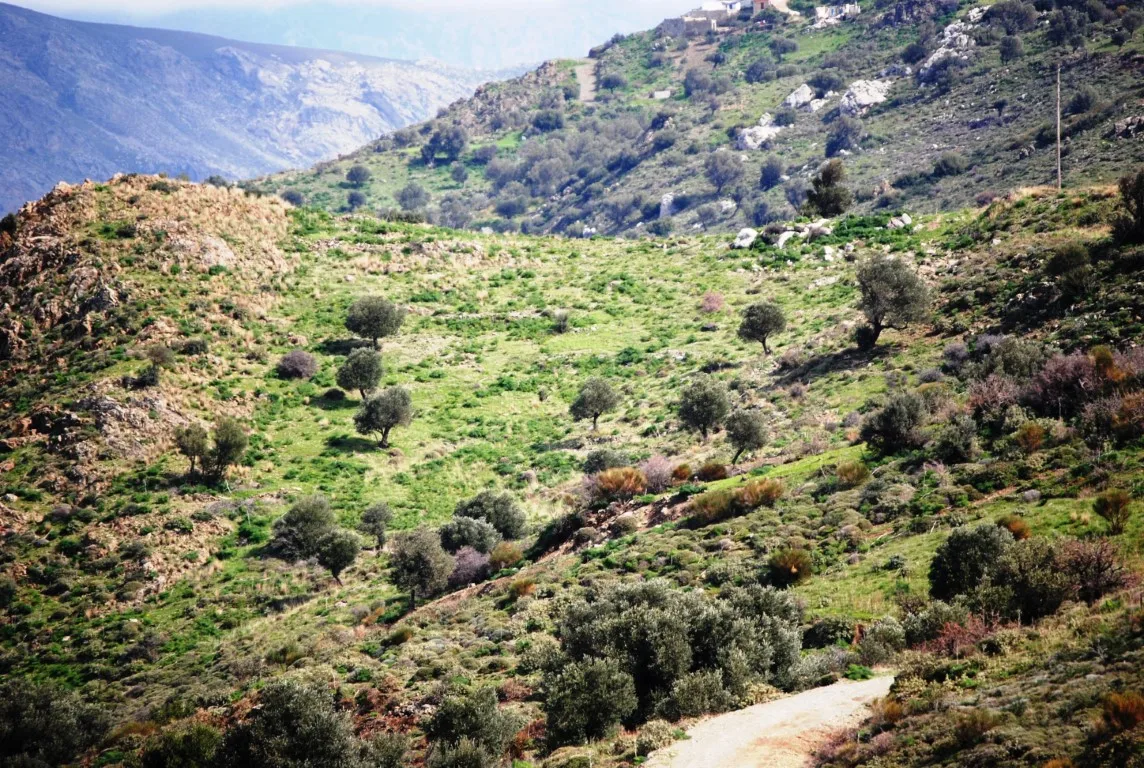 Land plot of 20.100 square meters in Agios Pavlos.