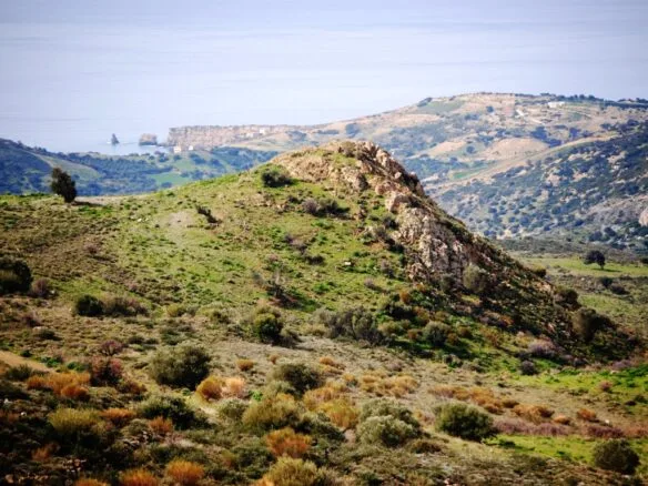 Land plot of 20.100 square meters in Agios Pavlos.