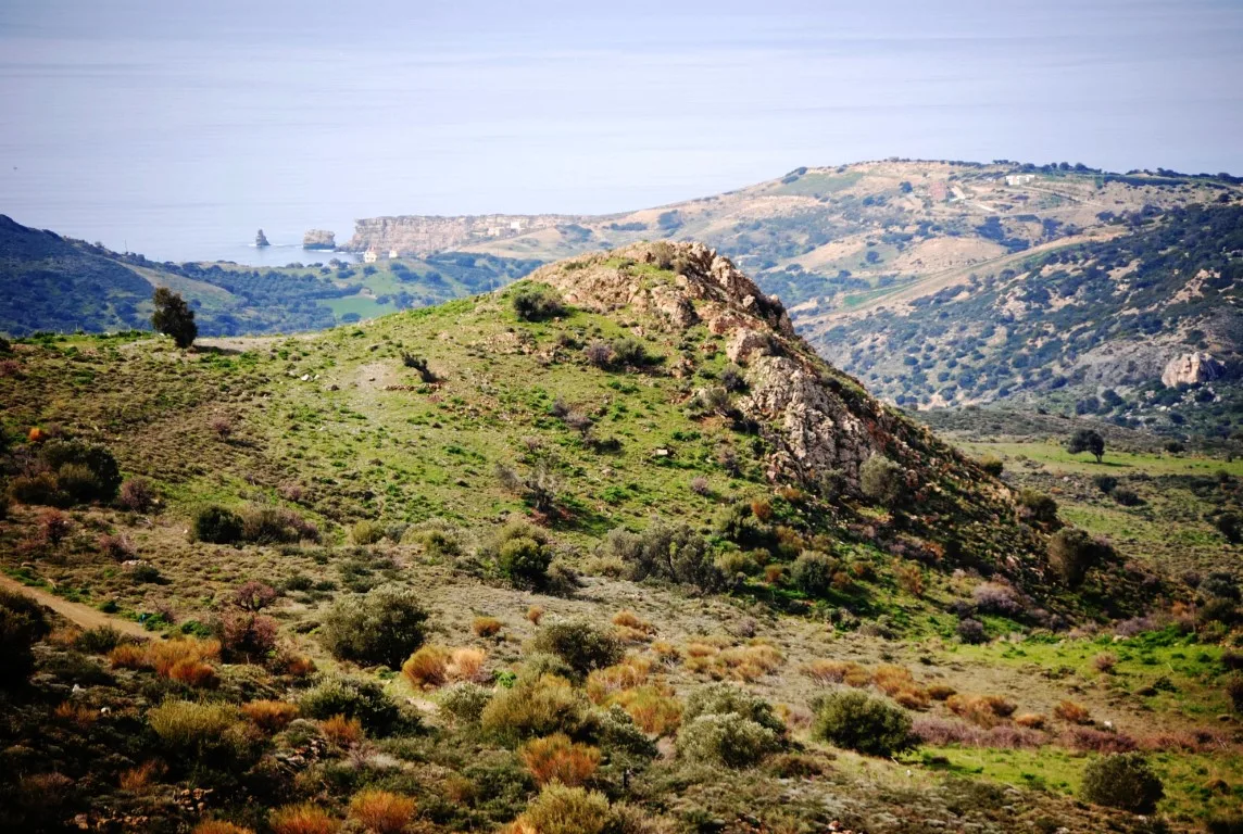 Land plot of 20.100 square meters in Agios Pavlos.