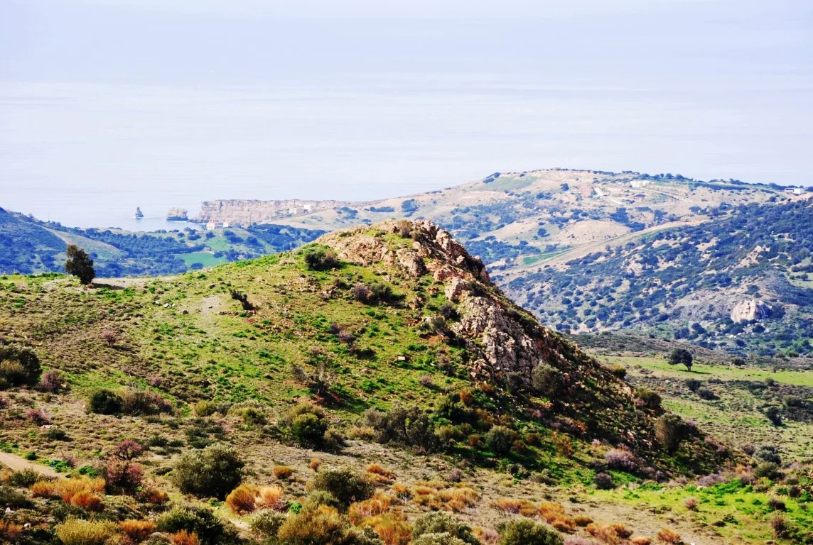 Land plot of 20.100 square meters in Agios Pavlos.