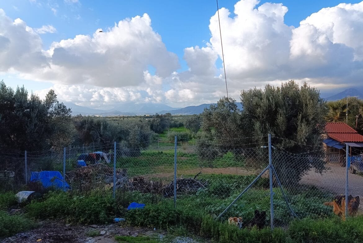 Plot in Vori village with house.