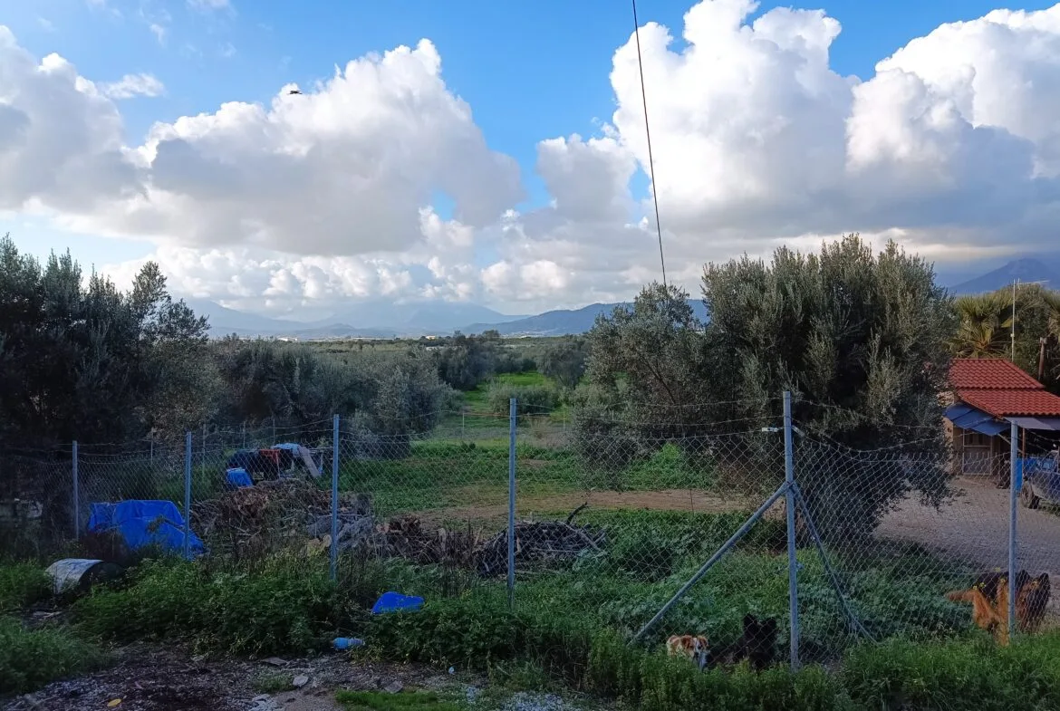 Plot in Vori village with house.