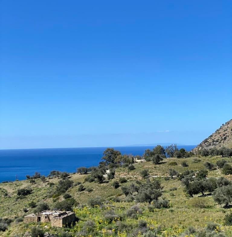 Plot of 4.068,16 square meters on the way to Agios Georgios.