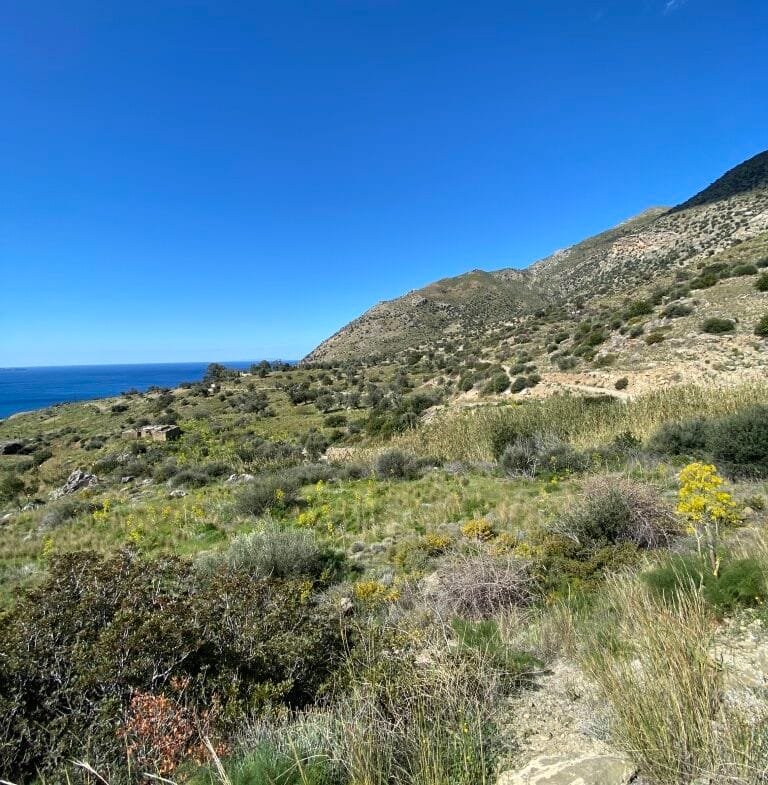 Plot of 4.068,16 square meters on the way to Agios Georgios.