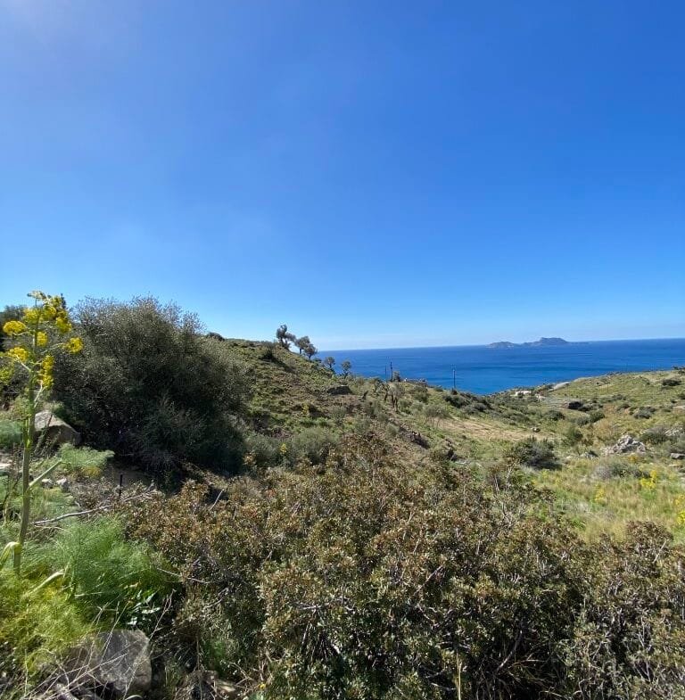 Plot of 4.068,16 square meters on the way to Agios Georgios.