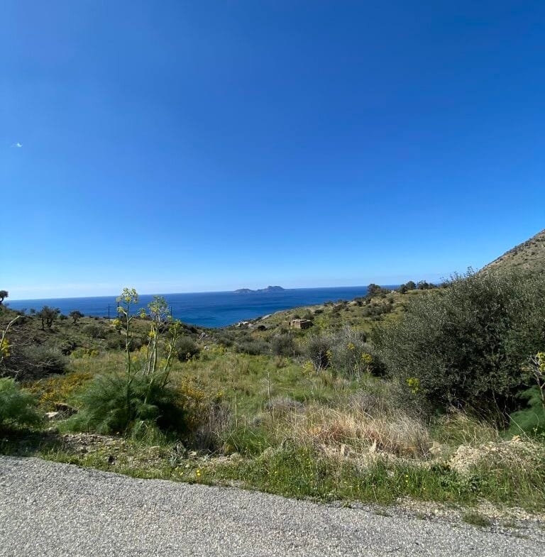 Plot of 4.068,16 square meters on the way to Agios Georgios.