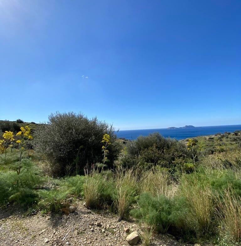 Plot of 4.068,16 square meters on the way to Agios Georgios.