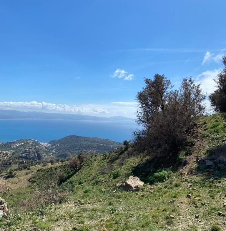 Plot of 5.582,43 sq.m. in the area of Melampes.