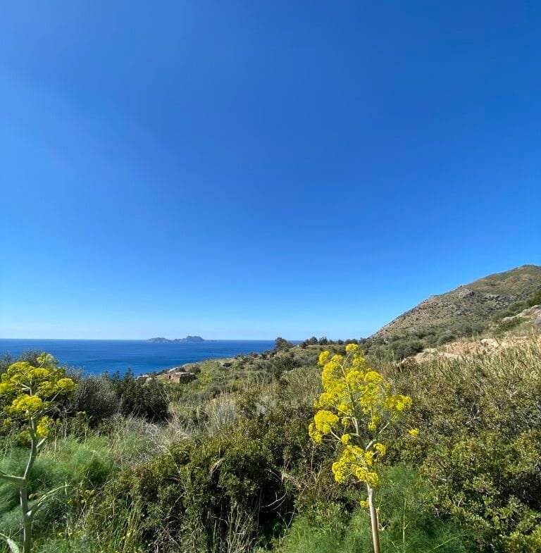Plot of 4.068,16 square meters on the way to Agios Georgios.